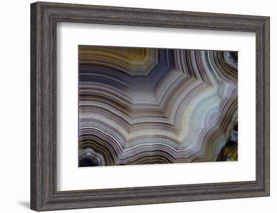 Banded Agate, Sammamish, Washington-Darrell Gulin-Framed Photographic Print