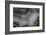 Banded Agate, Sammamish, Washington-Darrell Gulin-Framed Photographic Print