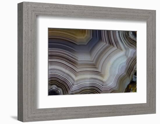 Banded Agate, Sammamish, Washington-Darrell Gulin-Framed Photographic Print