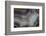 Banded Agate, Sammamish, Washington-Darrell Gulin-Framed Photographic Print