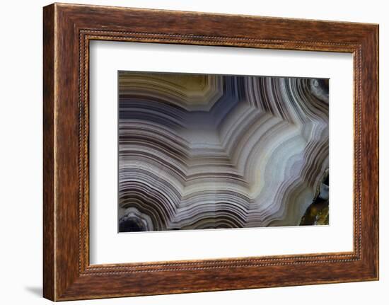 Banded Agate, Sammamish, Washington-Darrell Gulin-Framed Photographic Print