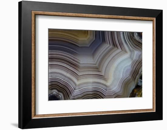 Banded Agate, Sammamish, Washington-Darrell Gulin-Framed Photographic Print