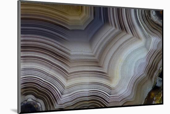 Banded Agate, Sammamish, Washington-Darrell Gulin-Mounted Photographic Print