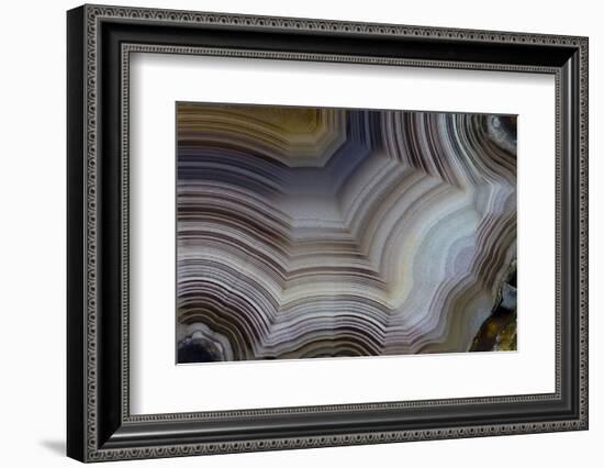 Banded Agate, Sammamish, Washington-Darrell Gulin-Framed Photographic Print