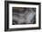 Banded Agate, Sammamish, Washington-Darrell Gulin-Framed Photographic Print