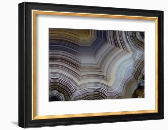 Banded Agate, Sammamish, Washington-Darrell Gulin-Framed Photographic Print