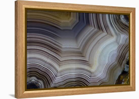 Banded Agate, Sammamish, Washington-Darrell Gulin-Framed Premier Image Canvas