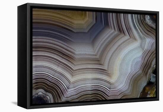 Banded Agate, Sammamish, Washington-Darrell Gulin-Framed Premier Image Canvas