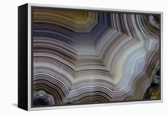 Banded Agate, Sammamish, Washington-Darrell Gulin-Framed Premier Image Canvas