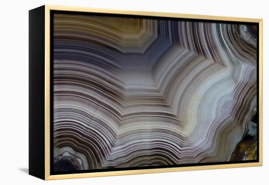 Banded Agate, Sammamish, Washington-Darrell Gulin-Framed Premier Image Canvas