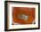 Banded Agate, Sammamish, Washington-Darrell Gulin-Framed Photographic Print