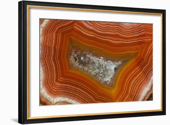 Banded Agate, Sammamish, Washington-Darrell Gulin-Framed Photographic Print