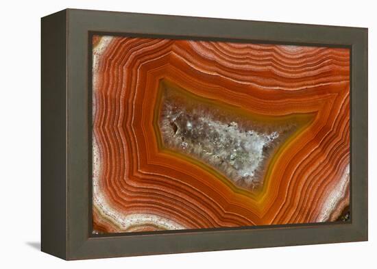 Banded Agate, Sammamish, Washington-Darrell Gulin-Framed Premier Image Canvas