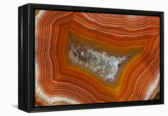 Banded Agate, Sammamish, Washington-Darrell Gulin-Framed Premier Image Canvas