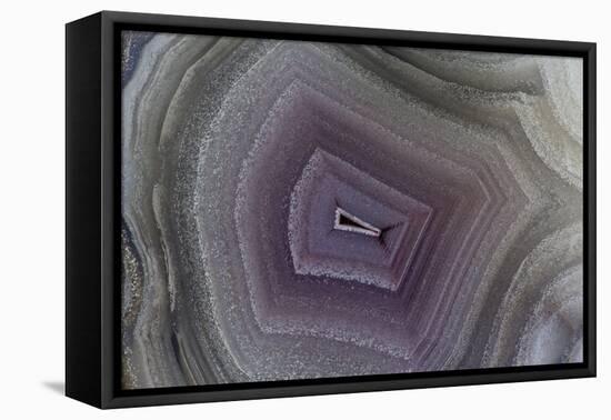 Banded Agate, Sammamish, Washington-Darrell Gulin-Framed Premier Image Canvas