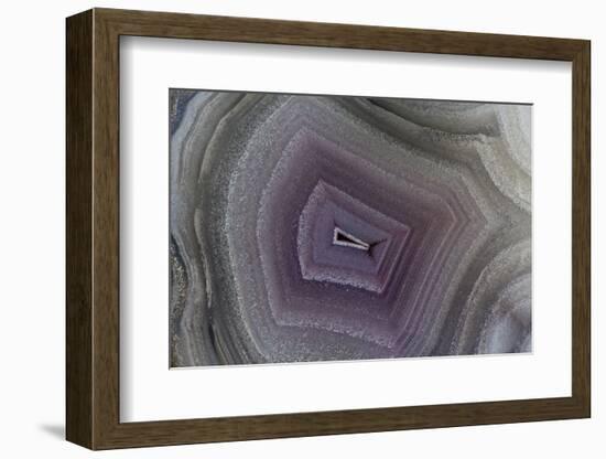 Banded Agate, Sammamish, Washington-Darrell Gulin-Framed Photographic Print