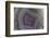 Banded Agate, Sammamish, Washington-Darrell Gulin-Framed Photographic Print