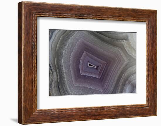 Banded Agate, Sammamish, Washington-Darrell Gulin-Framed Photographic Print