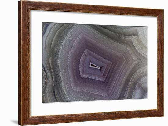 Banded Agate, Sammamish, Washington-Darrell Gulin-Framed Premium Photographic Print