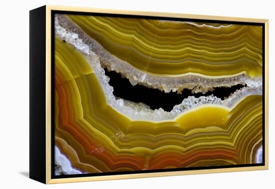 Banded Agate, Sammamish, Washington-Darrell Gulin-Framed Premier Image Canvas