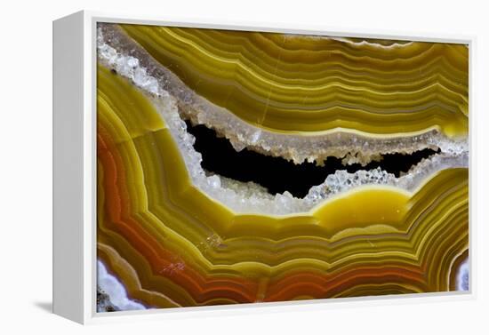 Banded Agate, Sammamish, Washington-Darrell Gulin-Framed Premier Image Canvas