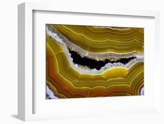 Banded Agate, Sammamish, Washington-Darrell Gulin-Framed Photographic Print