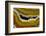 Banded Agate, Sammamish, Washington-Darrell Gulin-Framed Photographic Print