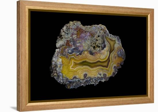 Banded Agate, Sammamish, Washington-Darrell Gulin-Framed Premier Image Canvas