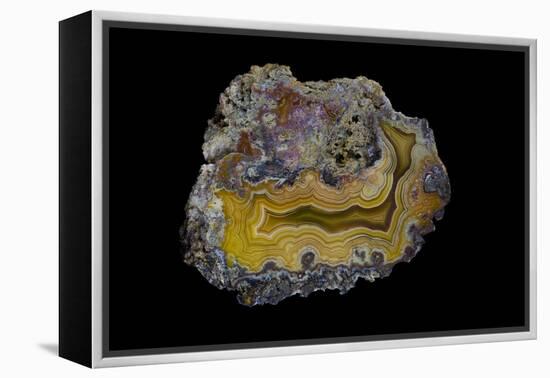 Banded Agate, Sammamish, Washington-Darrell Gulin-Framed Premier Image Canvas