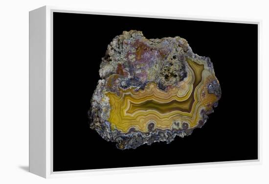 Banded Agate, Sammamish, Washington-Darrell Gulin-Framed Premier Image Canvas