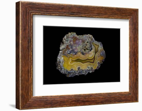 Banded Agate, Sammamish, Washington-Darrell Gulin-Framed Photographic Print