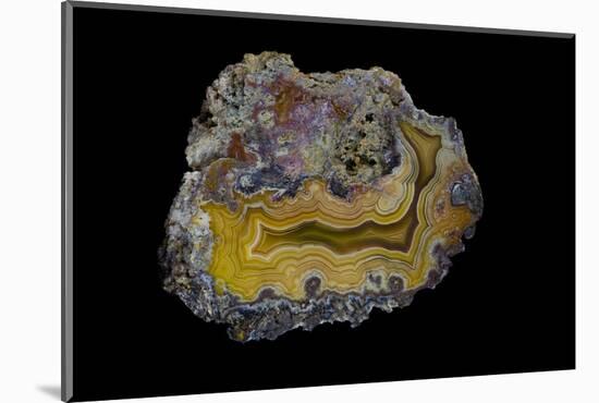 Banded Agate, Sammamish, Washington-Darrell Gulin-Mounted Photographic Print