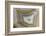 Banded Agate, Sammamish, Washington-Darrell Gulin-Framed Photographic Print