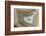 Banded Agate, Sammamish, Washington-Darrell Gulin-Framed Photographic Print