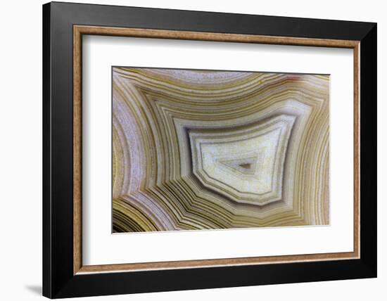 Banded Agate, Sammamish, Washington-Darrell Gulin-Framed Photographic Print