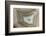 Banded Agate, Sammamish, Washington-Darrell Gulin-Framed Photographic Print