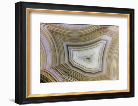 Banded Agate, Sammamish, Washington-Darrell Gulin-Framed Photographic Print