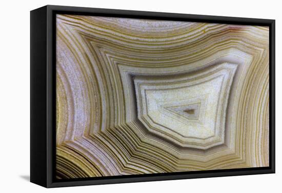 Banded Agate, Sammamish, Washington-Darrell Gulin-Framed Premier Image Canvas