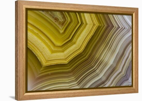 Banded Agate, Sammamish, Washington-Darrell Gulin-Framed Premier Image Canvas