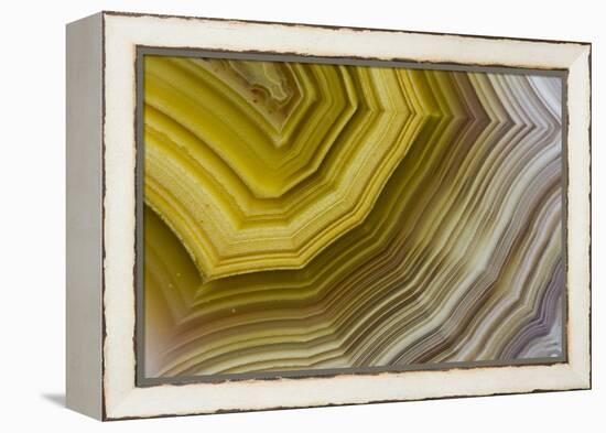 Banded Agate, Sammamish, Washington-Darrell Gulin-Framed Premier Image Canvas