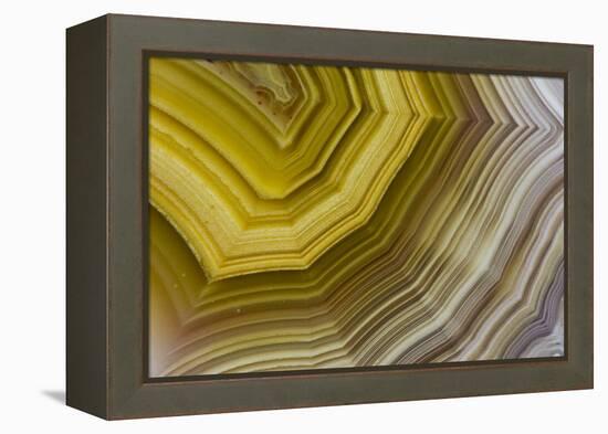 Banded Agate, Sammamish, Washington-Darrell Gulin-Framed Premier Image Canvas