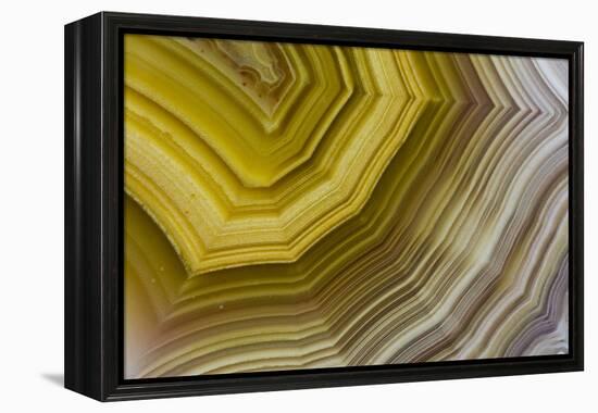 Banded Agate, Sammamish, Washington-Darrell Gulin-Framed Premier Image Canvas