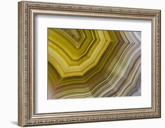 Banded Agate, Sammamish, Washington-Darrell Gulin-Framed Photographic Print