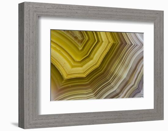 Banded Agate, Sammamish, Washington-Darrell Gulin-Framed Photographic Print