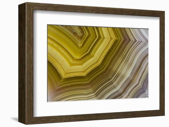 Banded Agate, Sammamish, Washington-Darrell Gulin-Framed Photographic Print