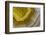 Banded Agate, Sammamish, Washington-Darrell Gulin-Framed Photographic Print