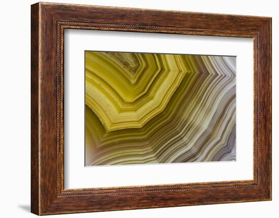 Banded Agate, Sammamish, Washington-Darrell Gulin-Framed Photographic Print