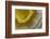 Banded Agate, Sammamish, Washington-Darrell Gulin-Framed Photographic Print