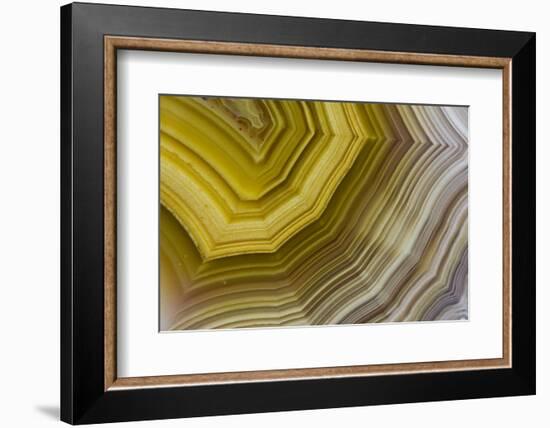 Banded Agate, Sammamish, Washington-Darrell Gulin-Framed Photographic Print