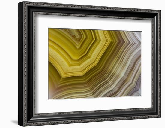 Banded Agate, Sammamish, Washington-Darrell Gulin-Framed Photographic Print